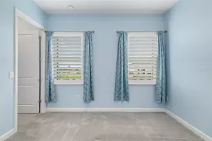 12338 Violet Jasper Dr, Parrish, FL 34219 - Photo 41