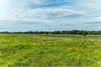 Coker Gully Road, Myakka City, FL 34251 - Photo 3
