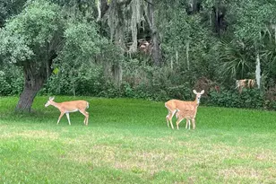 825 Himalayan Run, Bradenton, FL 34212 - Photo 49