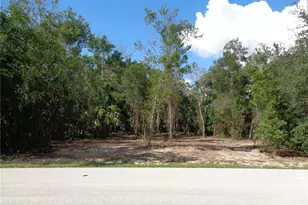 8007 Chaucer Dr, Weeki Wachee, FL 34607 - Photo 1