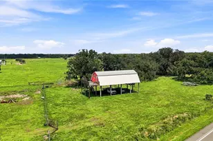 951 State Road 64 E, Wauchula, FL 33873 - Photo 53