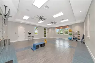 4715 Canoe Creek Ave, Parrish, FL 34219 - Photo 67