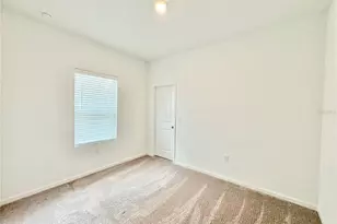 10451 Ladybug Cv, Parrish, FL 34219 - Photo 15