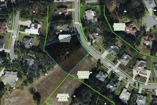 Bascomb Ln, Port Richey, FL 34667 - Photo 1