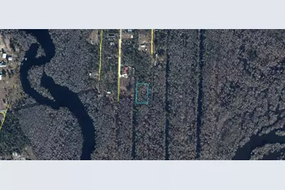 Pine Street, Kinard, FL 32449 - Photo 3