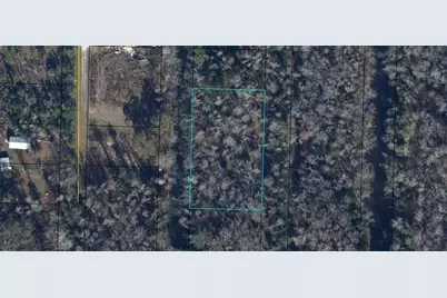 Pine Street, Kinard, FL 32449 - Photo 1
