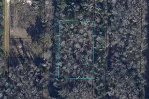 Pine St, Kinard, FL 32449 - Photo 1