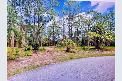 Tasco Lots 2,3, & 4 Drive, North Port, FL 34291 - Photo 3