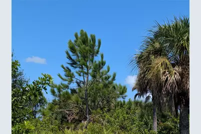 168 Lime Tree Park, Rotonda West, FL 33947 - Photo 7