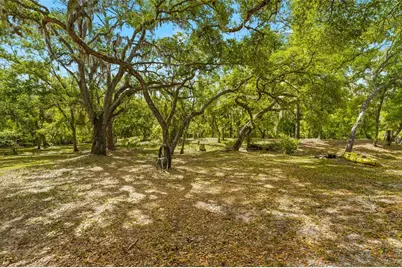 25640 State Road 70 E, Myakka City, FL 34251 - Photo 33
