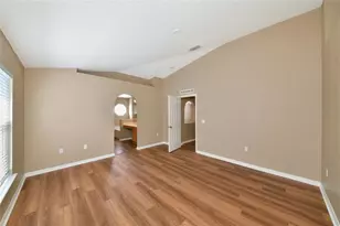 10919 Banyan Wood Way, Riverview, FL 33579 - Photo 9