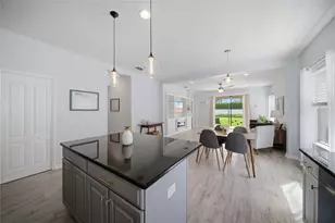 1538 Westover Ave, Parrish, FL 34219 - Photo 11