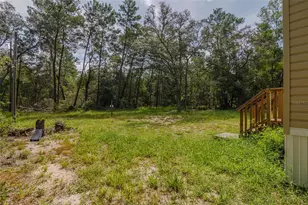 23778 NE 113th Ave, Fort Mc Coy, FL 32134 - Photo 5