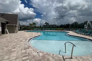 12607 Hysmith Loop, Parrish, FL 34219 - Photo 55