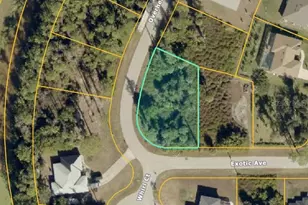 Exotic Ave, North Port, FL 34288 - Photo 1