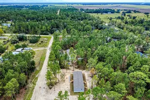 730 NE 131st Ave, Williston, FL 32696 - Photo 5