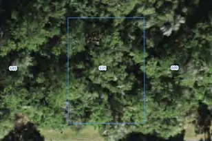 631 W Grapewood Ln, Citrus Springs, FL 34434 - Photo 1