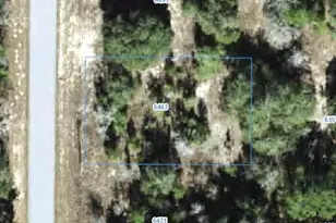 6483 N Darlington Dr, Citrus Springs, FL 34434 - Photo 1