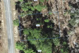 6989 N Foxdale Dr, Citrus Springs, FL 34434 - Photo 1