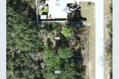 7218 N Ripley Drive, Citrus Springs, FL 34433 - Photo 1