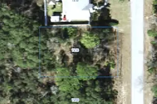 7218 N Ripley Dr, Citrus Springs, FL 34433 - Photo 1