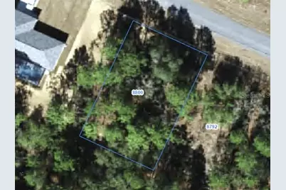 8800 N Paradisea Drive, Citrus Springs, FL 34433 - Photo 1