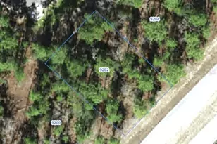 9202 N Citrus Springs Blvd, Citrus Springs, FL 34433 - Photo 1