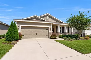13225 Waterleaf Garden Cir, Riverview, FL 33579 - Photo 1