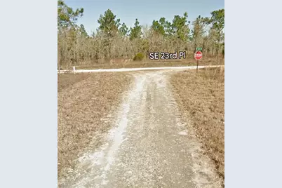 Se 23rd Place, Morriston, FL 32668 - Photo 5
