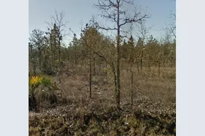 Se 23rd Place, Morriston, FL 32668 - Photo 3