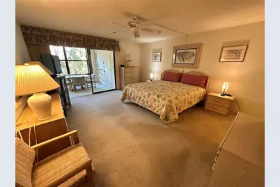 346 Springdale Drive W #346, Bradenton, FL 34210 - Photo 17