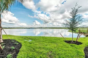 19110 Scallop Loop, Bradenton, FL 34211 - Photo 35