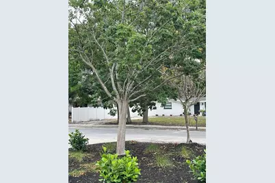 2545 Browning Street, Sarasota, FL 34237 - Photo 19