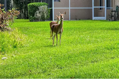 4536 Legacy Court, Sarasota, FL 34241 - Photo 41