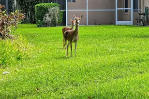 4536 Legacy Ct, Sarasota, FL 34241 - Photo 41