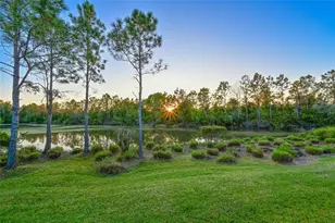 2811 130th Ave E, Parrish, FL 34219 - Photo 35