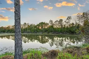 2811 130th Ave E, Parrish, FL 34219 - Photo 21