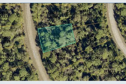 1125232808 Breadnut Street, North Port, FL 34288 - Photo 1