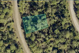 1125232808 Breadnut St, North Port, FL 34288 - Photo 1