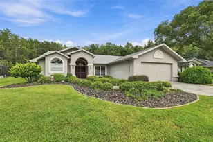 8657 Cypress Lakes Blvd, New Port Richey, FL 34653 - Photo 51