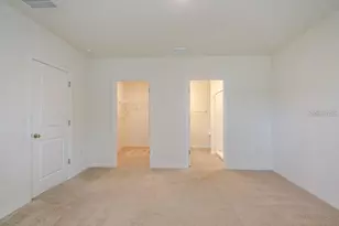 10945 Trailing Vine Dr, Tampa, FL 33610 - Photo 17
