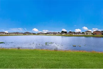 3160 Oyster Cove Street, Wimauma, FL 33598 - Photo 35