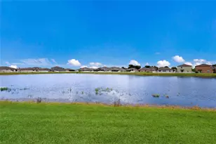 3160 Oyster Cv St, Wimauma, FL 33598 - Photo 35