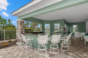 4105 Deep Creek Terrace, Parrish, FL 34219 - Photo 33
