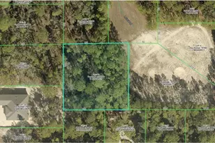 R01-221-17-3360-0653-0100 Meighan Ct, Weeki Wachee, FL 34614 - Photo 1
