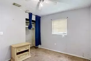 7331 Filbert Ln, Tampa, FL 33637 - Photo 29
