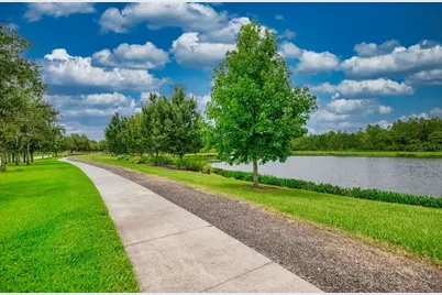 3488 Pine Ribbon Drive, Land O Lakes, FL 34638 - Photo 25