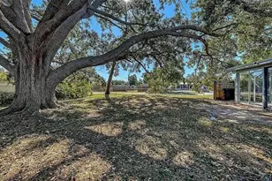 5529 Nutmeg Ave, Sarasota, FL 34231 - Photo 11