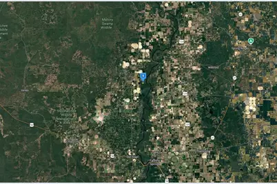 255 NE 879th Street, Old Town, FL 32680 - Photo 3