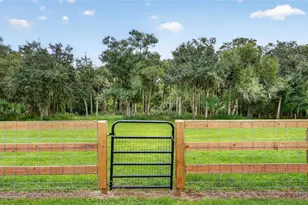 5420 SW County Rd 769, Arcadia, FL 34269 - Photo 79